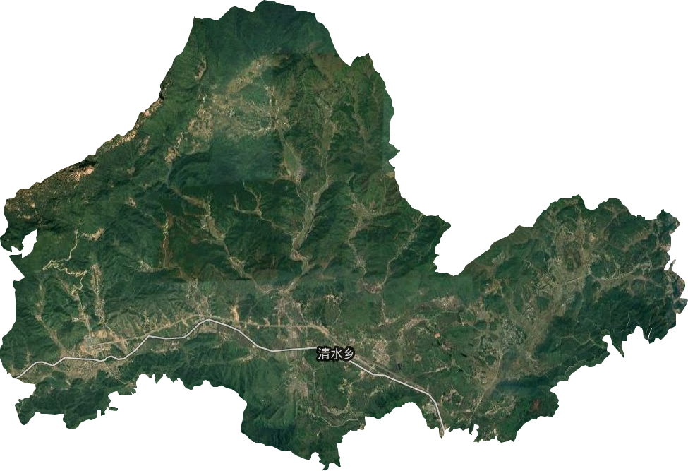 清水乡卫星图