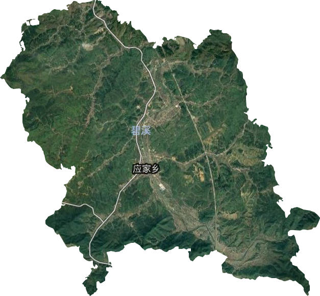 应家乡卫星图