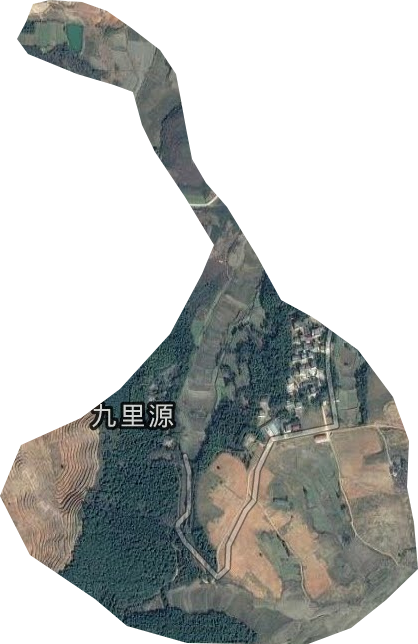 李梅林场卫星图