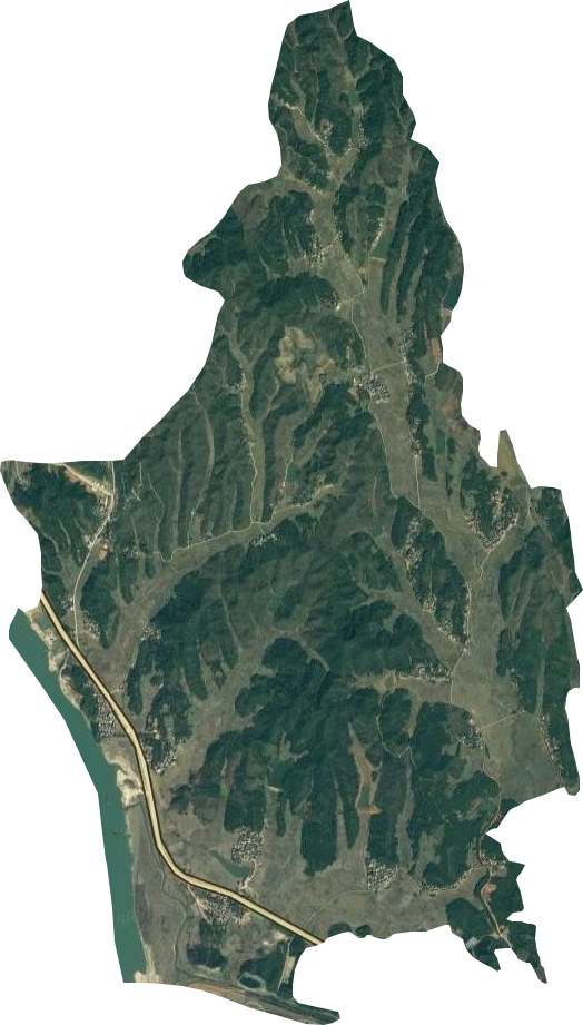 峡山林场卫星图