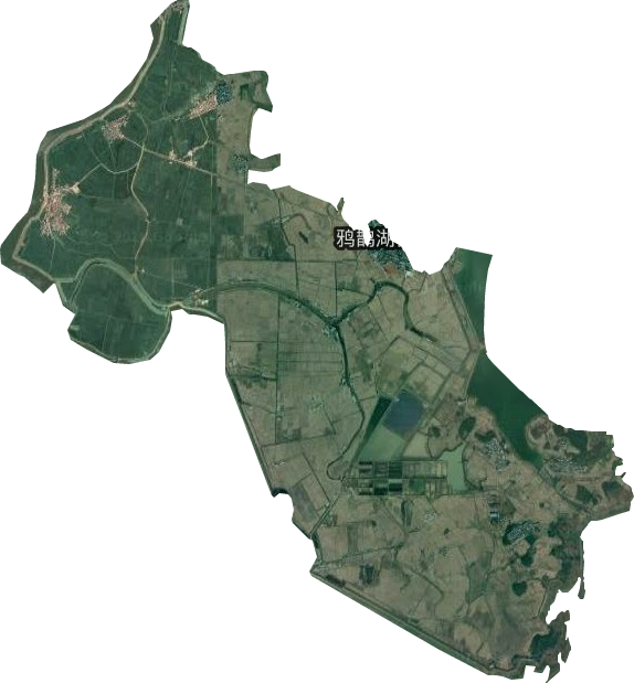 鸦鹊湖乡卫星图