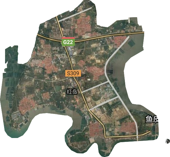 红岛街道卫星图