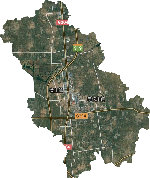 姜山镇卫星图