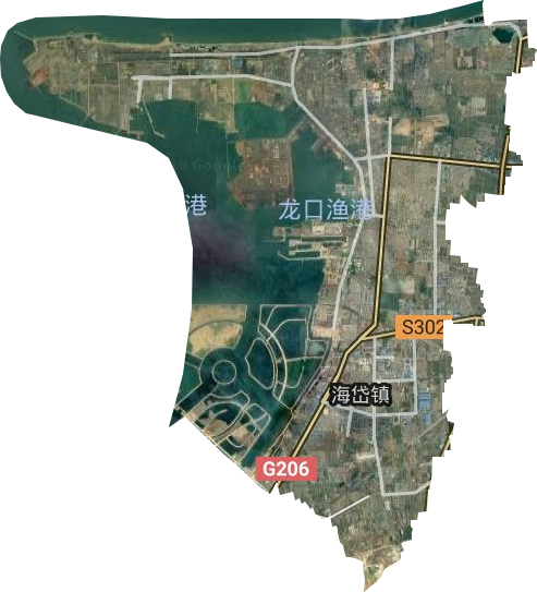 龙港街道卫星图