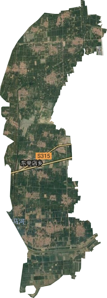东辛店镇卫星图