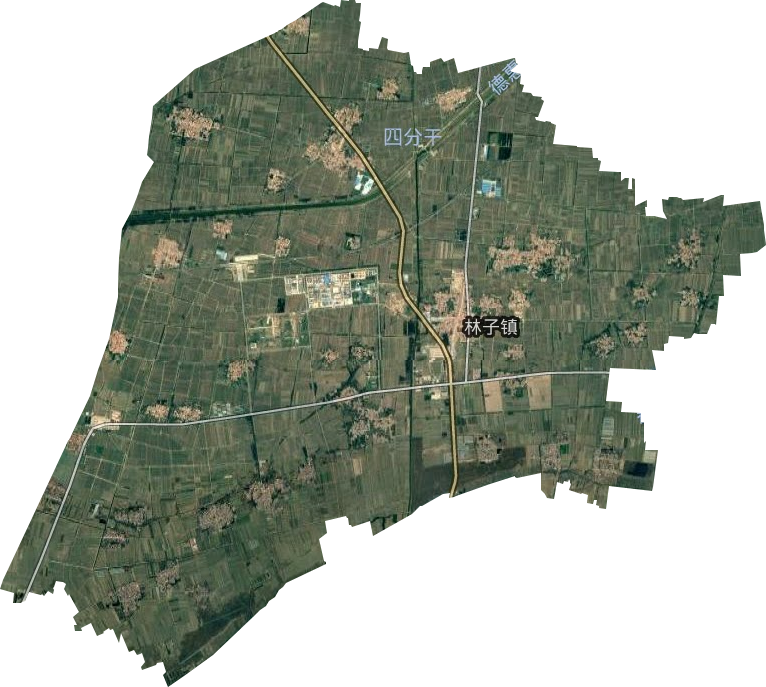 林子镇卫星图