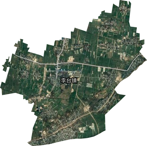 李台镇卫星图