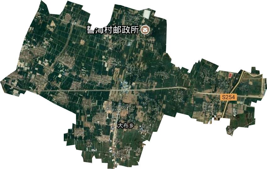 大布乡卫星图