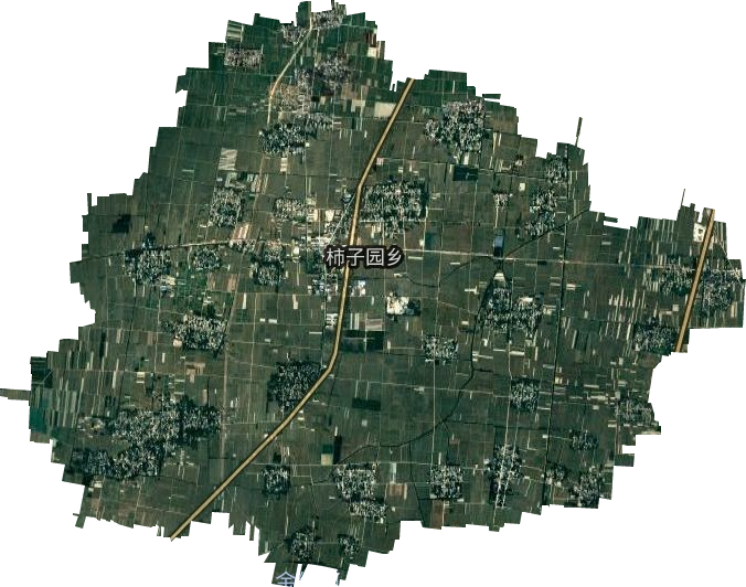柿子园乡卫星图