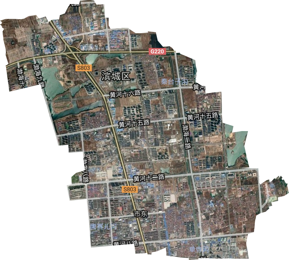 市东街道卫星图