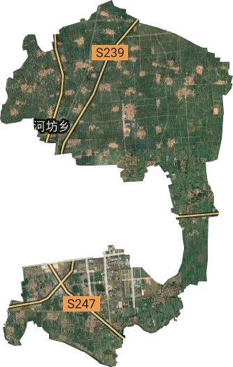 何坊街道卫星图