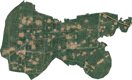 洋湖乡卫星图