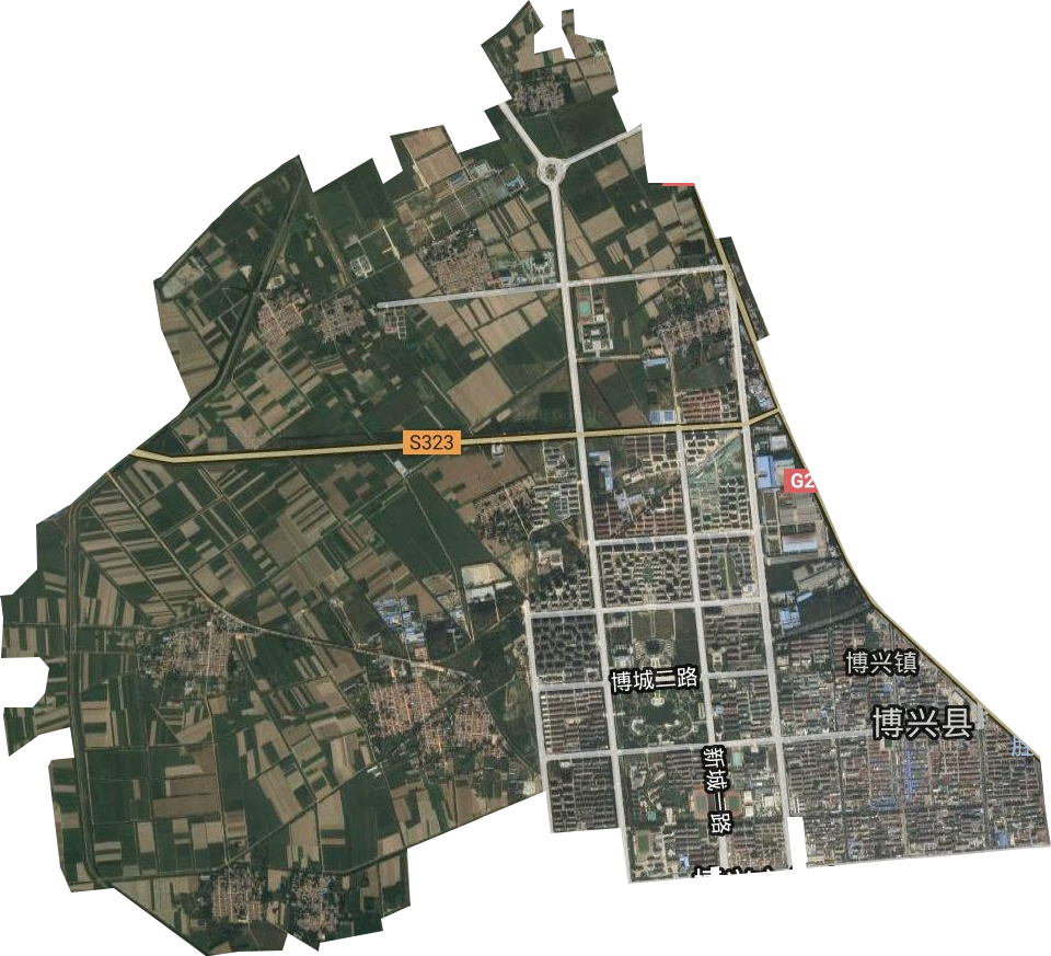 博昌街道卫星图