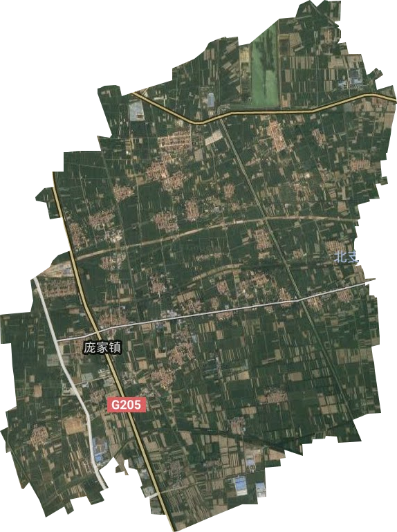 庞家镇卫星图