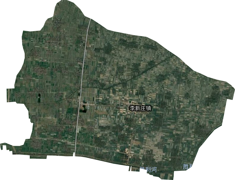李新庄镇卫星图