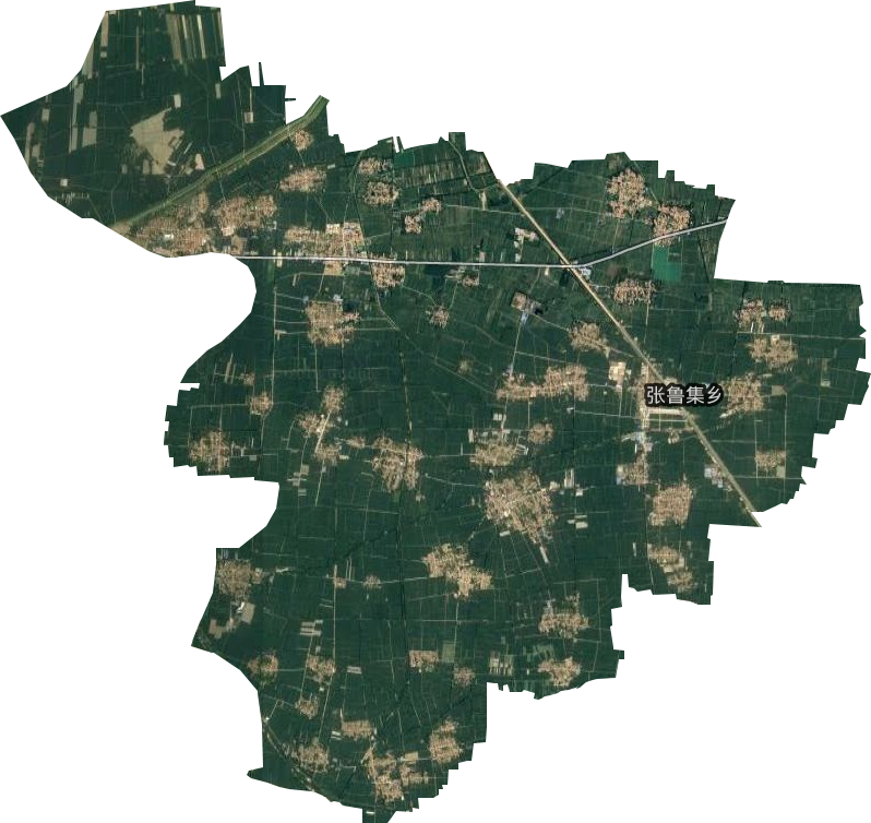 张鲁集乡卫星图