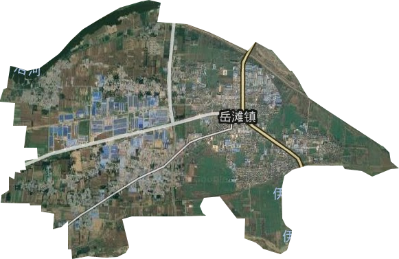 岳滩镇卫星图