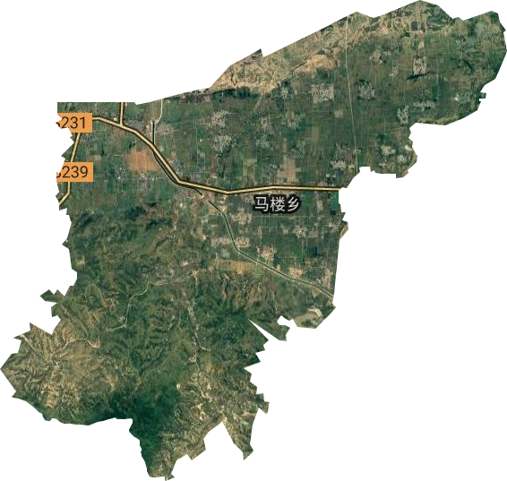 马楼乡卫星图