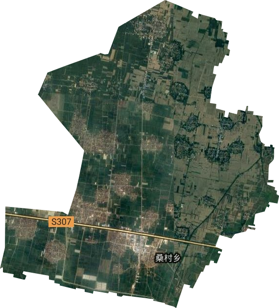 桑村乡卫星图