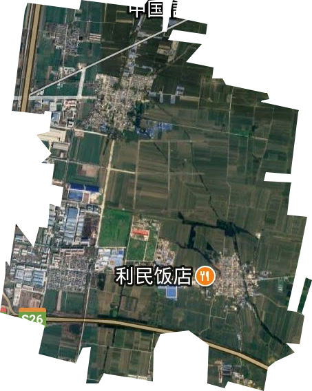 东杨办事处卫星图