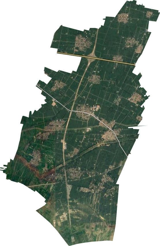 大宾乡卫星图