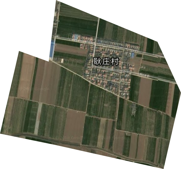 国营温县农场卫星图