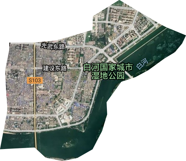 仲景街道卫星图