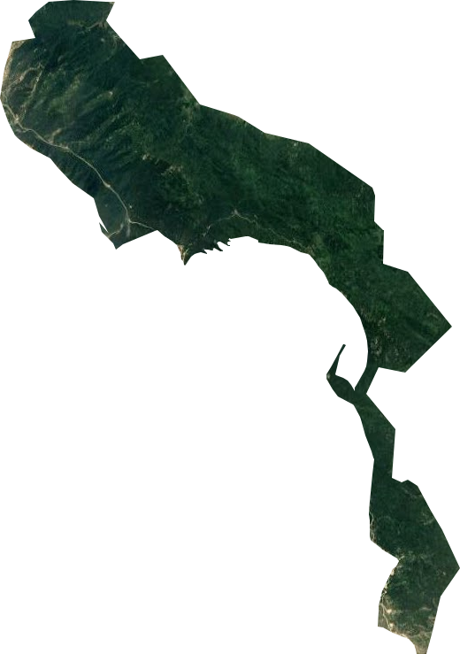 方城大寺林场卫星图