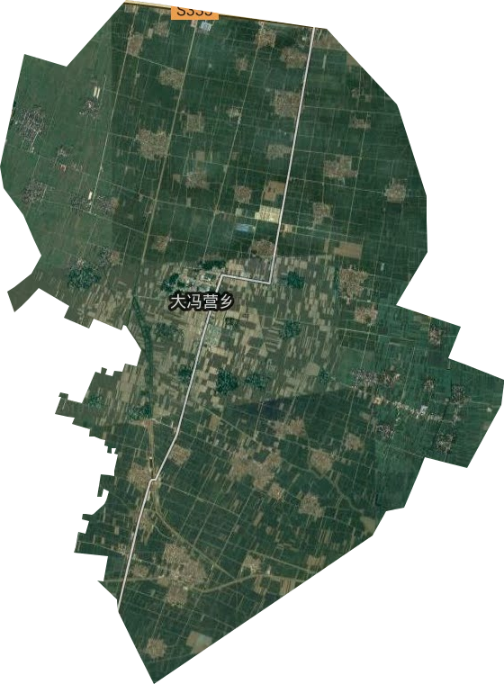 大冯营镇卫星图