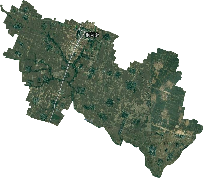 桐河乡卫星图