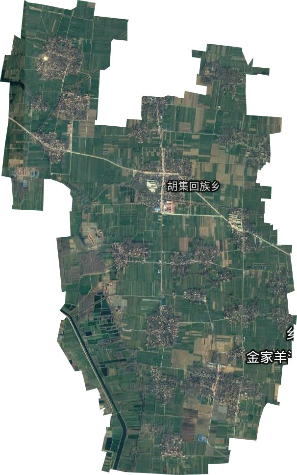 胡集乡卫星图
