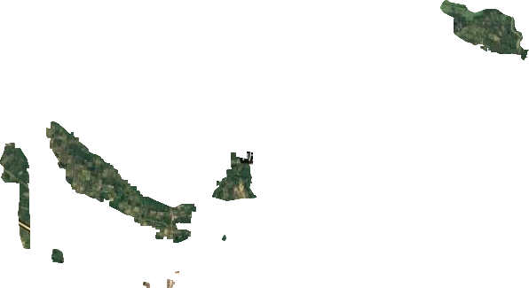 商丘市林场卫星图