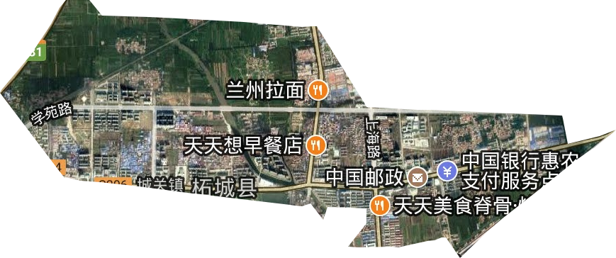 长江新城街道卫星图