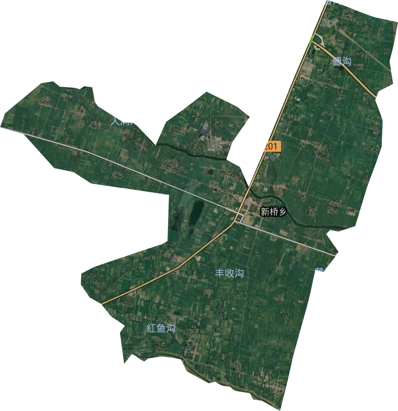新桥乡卫星图
