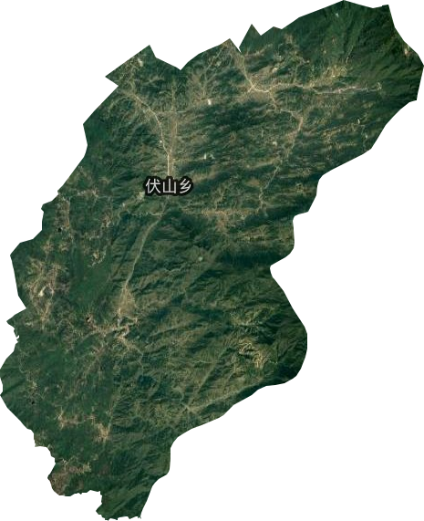 伏山乡卫星图