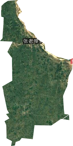 张老埠乡卫星图