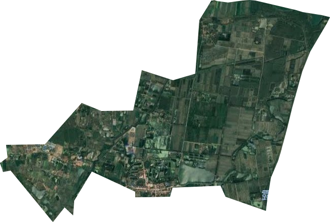 黄湖农场卫星图
