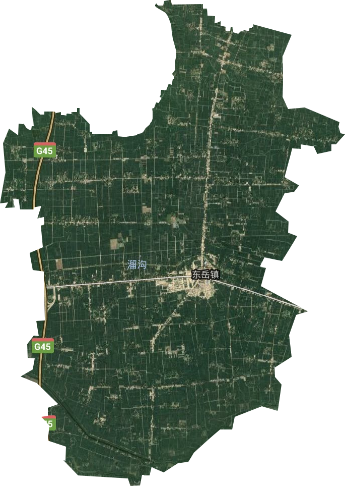 东岳镇卫星图