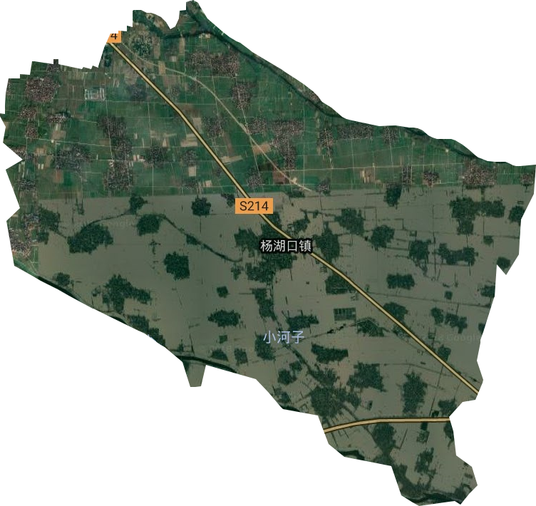 杨湖口镇卫星图