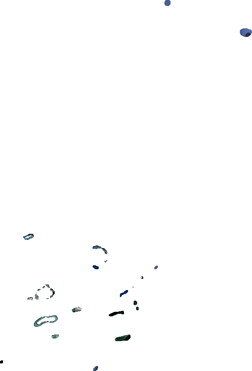 西沙群岛卫星图