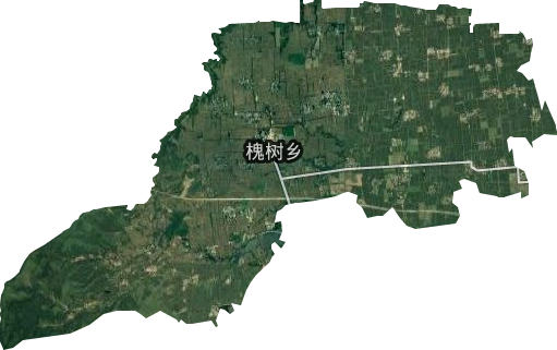 槐树乡卫星图