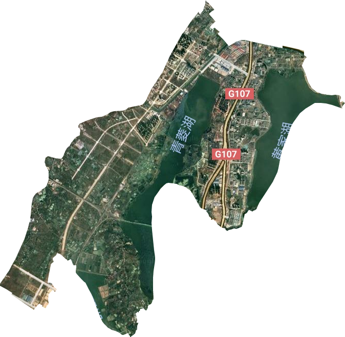 青菱街道卫星图