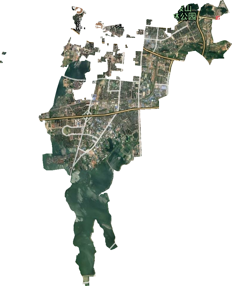关东街道卫星图