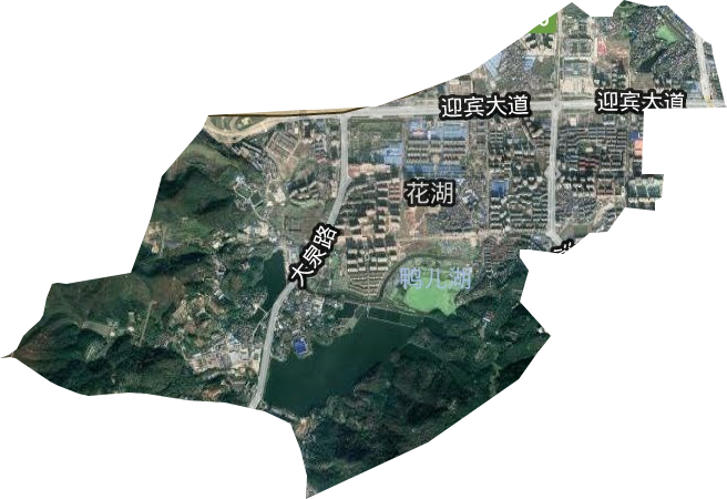花湖街道卫星图