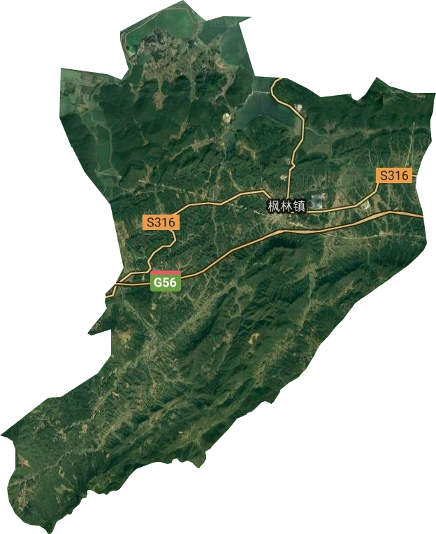 枫林镇卫星图
