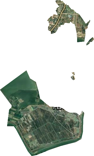 综合农场卫星图