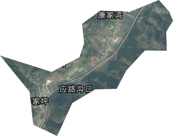 秦家坪林场卫星图