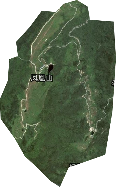 凤凰山茶场卫星图