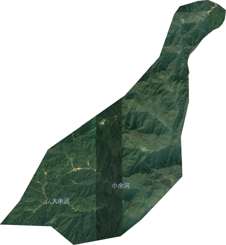 红岩背林场卫星图