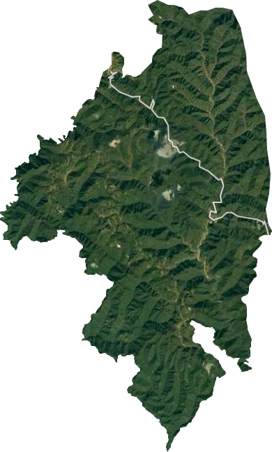 三官洞林区卫星图